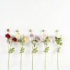 Artificial Flower 18*18*64cm Rose *3 single stem GS-64723005CONTI Single Flowers YeahFlower is one of Chinese leading OEM manufacturers and exporters , supplying the silk flowers, wholesale artificial trees