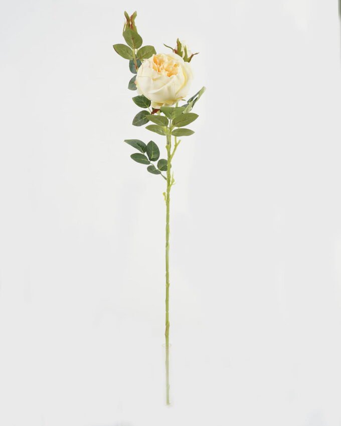 Artificial Flower 19*19*78cm Rose single stem GS-64723009CONTI-C1 Single Flowers YeahFlower is one of Chinese leading OEM manufacturers and exporters , supplying the silk flowers, wholesale artificial trees