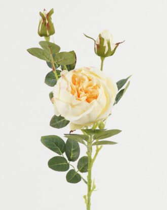 Artificial Flower 19*19*78cm Rose single stem GS-64723009CONTI-C1 Single Flowers YeahFlower is one of Chinese leading OEM manufacturers and exporters , supplying the silk flowers, wholesale artificial trees