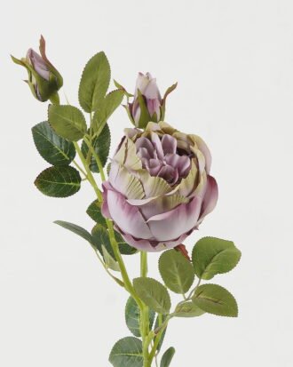 Artificial Flower 19*19*78cm Rose single stem GS-64723009CONTI-Z1 Single Flowers YeahFlower is one of Chinese leading OEM manufacturers and exporters , supplying the silk flowers, wholesale artificial trees