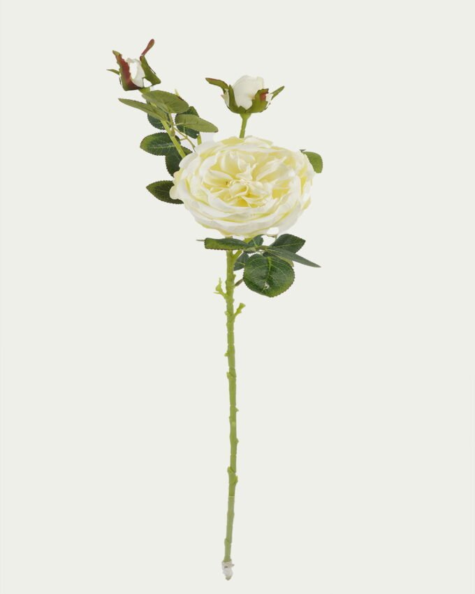 Artificial Flower 19*19*78cm Rose single stem GS-64723009CONTI Single Flowers YeahFlower is one of Chinese leading OEM manufacturers and exporters , supplying the silk flowers, wholesale artificial trees