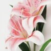 Artificial Flower 22*22*88cm Tulip *2 single stem GS-64923016CONTI-P1 Single Flowers YeahFlower is one of Chinese leading OEM manufacturers and exporters , supplying the silk flowers, wholesale artificial trees
