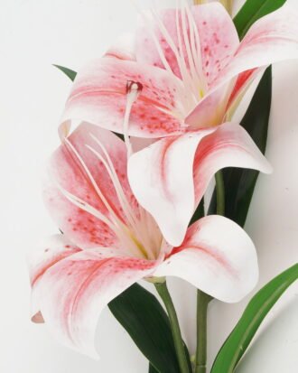 Artificial Flower 22*22*88cm Tulip *2 single stem GS-64923016CONTI-P1 Single Flowers YeahFlower is one of Chinese leading OEM manufacturers and exporters , supplying the silk flowers, wholesale artificial trees Artificial Flower 22*22*88cm Tulip *2 single stem GS-64923016CONTI-P1 Single Flowers YeahFlower is one of Chinese leading OEM manufacturers and exporters , supplying the silk flowers, wholesale artificial trees