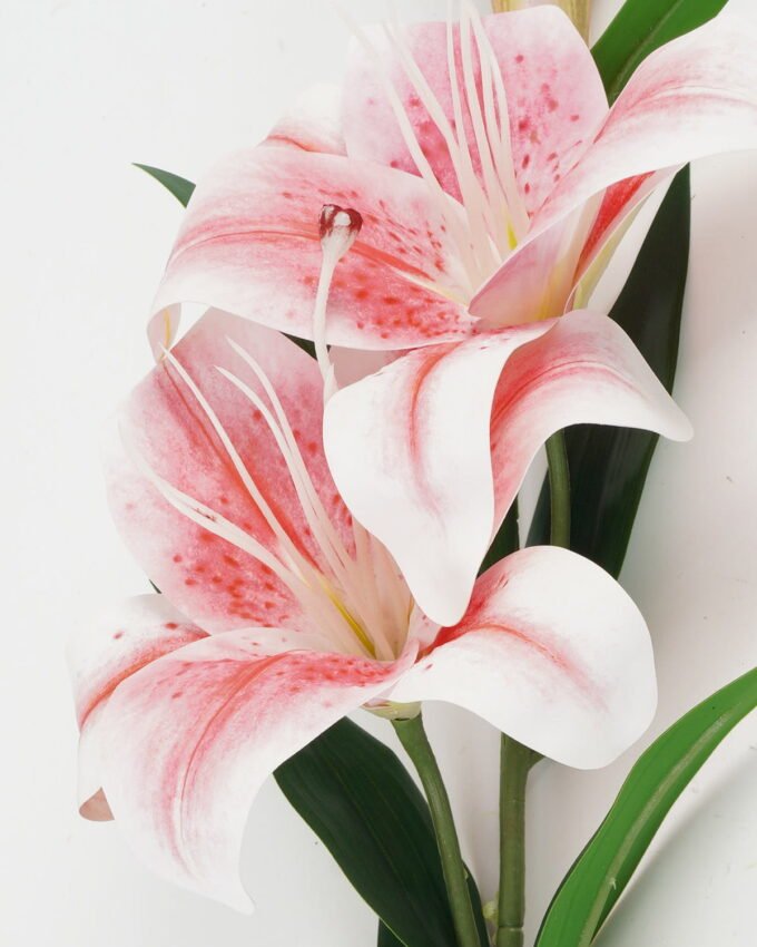 Artificial Flower 22*22*88cm Tulip *2 single stem GS-64923016CONTI-P1 Single Flowers YeahFlower is one of Chinese leading OEM manufacturers and exporters , supplying the silk flowers, wholesale artificial trees