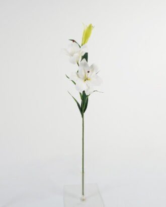 Artificial Flower 22*22*88cm Tulip *2 single stem GS-64923016CONTI-W1 Single Flowers YeahFlower is one of Chinese leading OEM manufacturers and exporters , supplying the silk flowers, wholesale artificial trees Artificial Flower 22*22*88cm Tulip *2 single stem GS-64923016CONTI-W1 Single Flowers YeahFlower is one of Chinese leading OEM manufacturers and exporters , supplying the silk flowers, wholesale artificial trees