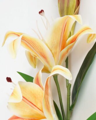 Artificial Flower 22*22*88cm Tulip *2 single stem GS-64923016CONTI Single Flowers YeahFlower is one of Chinese leading OEM manufacturers and exporters , supplying the silk flowers, wholesale artificial trees Artificial Flower 22*22*88cm Tulip *2 single stem GS-64923016CONTI Single Flowers YeahFlower is one of Chinese leading OEM manufacturers and exporters , supplying the silk flowers, wholesale artificial trees