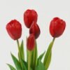 Artificial Flower 15*15*38cm Tulip *5 bundle GS-24523022-R1 Bouquet YeahFlower is one of Chinese leading OEM manufacturers and exporters , supplying the silk flowers, wholesale artificial trees
