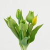 Artificial Flower 15*15*31cm Tulip *5 bush GS-24523014-G1 Bouquet YeahFlower is one of Chinese leading OEM manufacturers and exporters , supplying the silk flowers, wholesale artificial trees