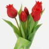Artificial Flower 15*15*31cm Tulip *5 bush GS-24523014-R1 Bouquet YeahFlower is one of Chinese leading OEM manufacturers and exporters , supplying the silk flowers, wholesale artificial trees