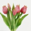 Artificial Flower Tulip 5 bush GS-24523014-R2_4 Artificial Flower 15*15*31cm Tulip *5 bush GS-24523014-R2 Bouquet YeahFlower is one of Chinese leading OEM manufacturers and exporters , supplying the silk flowers, wholesale artificial trees