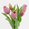 Artificial Flower 15*15*31cm Tulip *5 bush GS-24523014-Z2 Bouquet YeahFlower is one of Chinese leading OEM manufacturers and exporters , supplying the silk flowers, wholesale artificial trees