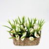 Artificial Flower 25*19*19cm Tulip in Basket GS-03322087 Potted Flowers&Plants YeahFlower is one of Chinese leading OEM manufacturers and exporters , supplying the silk flowers, wholesale artificial trees
