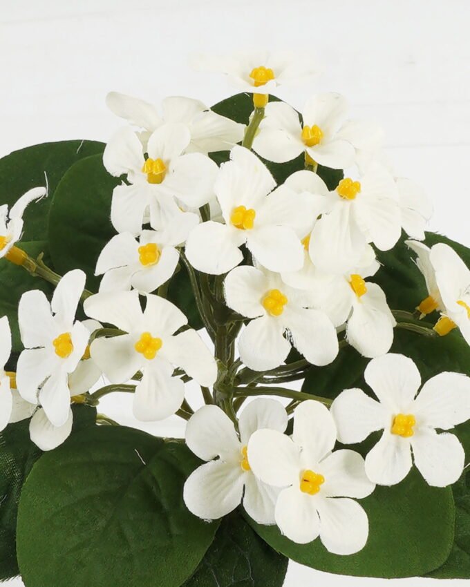 Artificial Flower 20*20*20cm Violet single stem GS-70123048CONTI-W1 Potted Flowers&Plants YeahFlower is one of Chinese leading OEM manufacturers and exporters , supplying the silk flowers, wholesale artificial trees