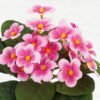 Artificial Flower 20*20*20cm Violet single stem GS-70123048CONTI Potted Flowers&Plants YeahFlower is one of Chinese leading OEM manufacturers and exporters , supplying the silk flowers, wholesale artificial trees