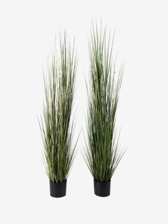 Artificial Grass 160cm Grass GS-29423099CONTI-G2 Grass&PLANT 3,000+ sqm showroom with thousands of artificial flowers, plants & trees ready for global sourcing.