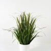 Artificial Grass 70cm Grass *5 in PP pot GS-29423105CONTI-G2 Grass&PLANT YeahFlower is one of Chinese leading OEM manufacturers and exporters , supplying the silk flowers, wholesale artificial trees