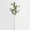 Artificial Plant Eucalyptus single stem GS-29822062-G1_4 Artificial Plant 20*20*90cm Eucalyptus single stem GS-29822062-G1 Leaves&Sprays&Foliages YeahFlower is one of Chinese leading OEM manufacturers and exporters , supplying the silk flowers, wholesale artificial trees