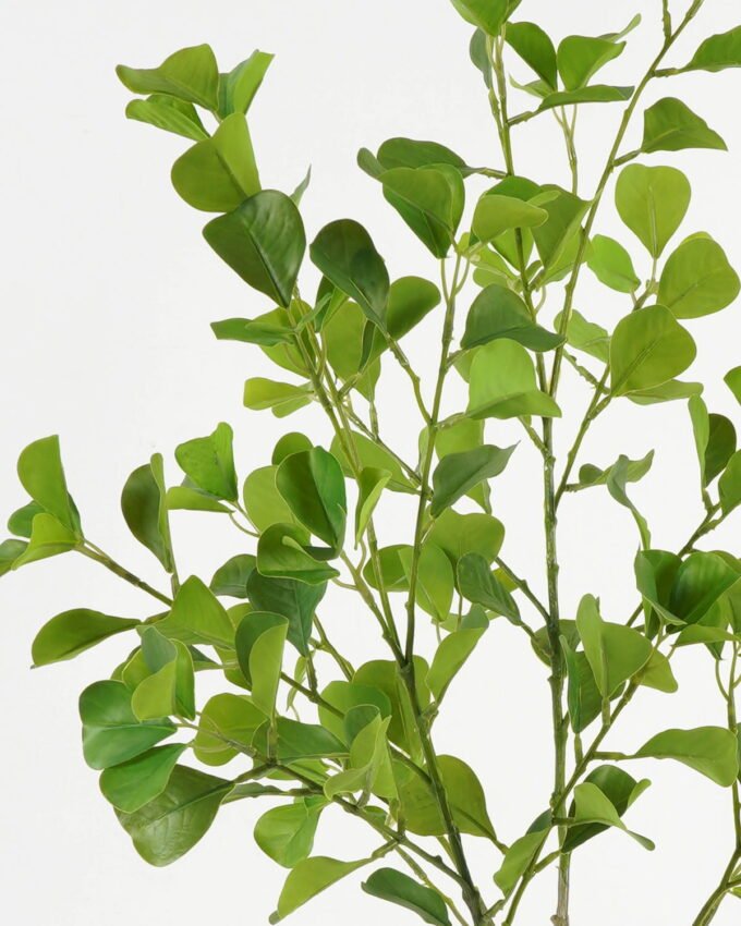 Artificial Plant 26*26*110cm Ficus leaf *4 single stem GS-48323003CONTI-G2 Leaves&Sprays&Foliages YeahFlower is one of Chinese leading OEM manufacturers and exporters , supplying the silk flowers, wholesale artificial trees