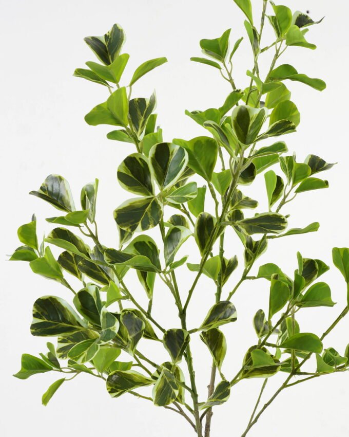 Artificial Plant 26*26*110cm Ficus leaf *4 single stem GS-48323003CONTI Leaves&Sprays&Foliages YeahFlower is one of Chinese leading OEM manufacturers and exporters , supplying the silk flowers, wholesale artificial trees