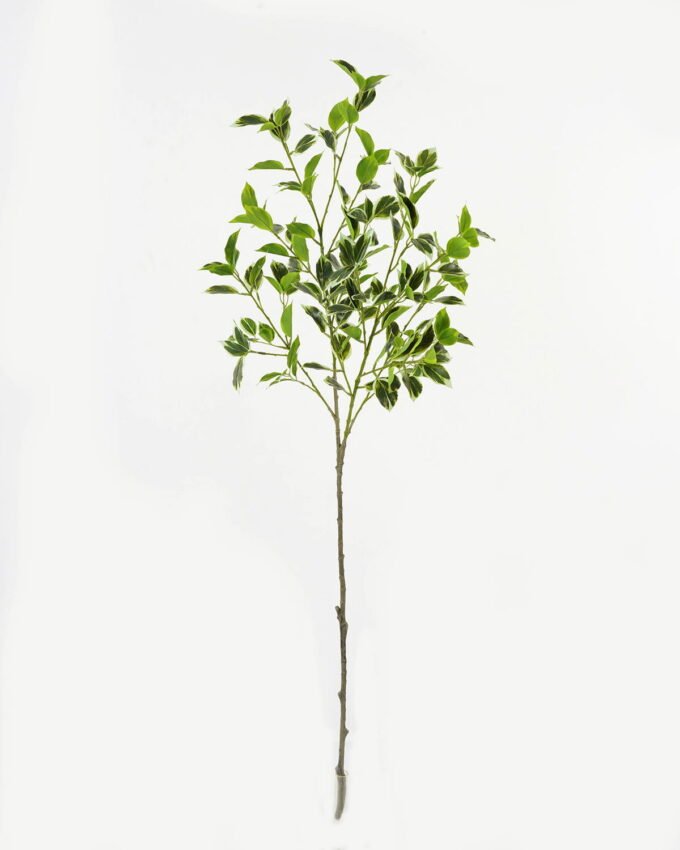 Artificial Plant Ficus leaf 4 single stem GS-48323004CONTI_3 Artificial Plant 26*26*110cm Ficus leaf *4 single stem GS-48323004CONTI Leaves&Sprays&Foliages YeahFlower is one of Chinese leading OEM manufacturers and exporters , supplying the silk flowers, wholesale artificial trees