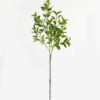 Artificial Plant Ficus leaf 4 single stem GS-48323004CONTI_4 Artificial Plant 26*26*110cm Ficus leaf *4 single stem GS-48323004CONTI Leaves&Sprays&Foliages YeahFlower is one of Chinese leading OEM manufacturers and exporters , supplying the silk flowers, wholesale artificial trees