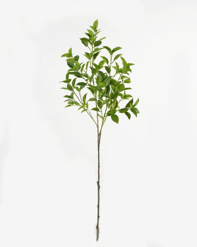 Artificial Plant Ficus leaf 4 single stem GS-48323004CONTI_4 Artificial Plant 26*26*110cm Ficus leaf *4 single stem GS-48323004CONTI Leaves&Sprays&Foliages YeahFlower is one of Chinese leading OEM manufacturers and exporters , supplying the silk flowers, wholesale artificial trees