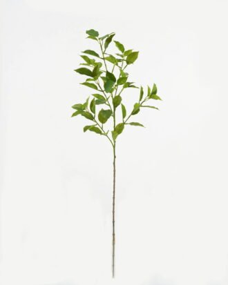 Artificial Plant 20*20*78cm Ficus leaf single stem GS-48323001CONTI-G2 Leaves&Sprays&Foliages YeahFlower is one of Chinese leading OEM manufacturers and exporters , supplying the silk flowers, wholesale artificial trees Artificial Plant 20*20*78cm Ficus leaf single stem GS-48323001CONTI-G2 Leaves&Sprays&Foliages YeahFlower is one of Chinese leading OEM manufacturers and exporters , supplying the silk flowers, wholesale artificial trees