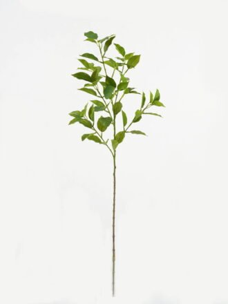 Artificial Plant 18*18*78cm Ficus leaf single stem GS-48323002CONTI Leaves&Sprays&Foliages 3,000+ sqm showroom with thousands of artificial flowers, plants & trees ready for global sourcing.