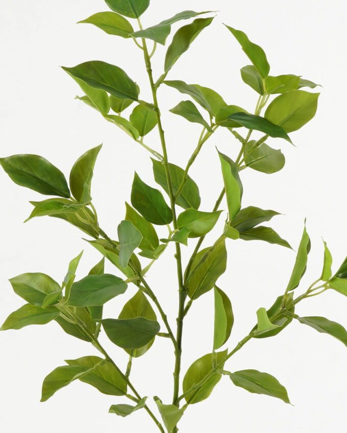 Artificial Plant 20*20*78cm Ficus leaf single stem GS-48323001CONTI-G2 Leaves&Sprays&Foliages YeahFlower is one of Chinese leading OEM manufacturers and exporters , supplying the silk flowers, wholesale artificial trees