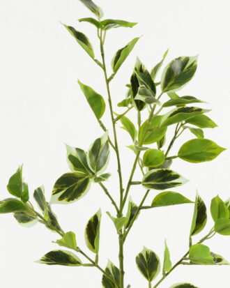 Artificial Plant 20*20*78cm Ficus leaf single stem GS-48323001CONTI Leaves&Sprays&Foliages YeahFlower is one of Chinese leading OEM manufacturers and exporters , supplying the silk flowers, wholesale artificial trees Artificial Plant 20*20*78cm Ficus leaf single stem GS-48323001CONTI Leaves&Sprays&Foliages YeahFlower is one of Chinese leading OEM manufacturers and exporters , supplying the silk flowers, wholesale artificial trees