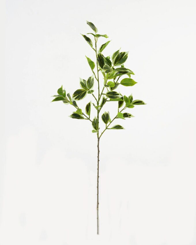 Artificial Plant Ficus leaf single stem GS-48323001CONTI_4 Artificial Plant 20*20*78cm Ficus leaf single stem GS-48323001CONTI Leaves&Sprays&Foliages YeahFlower is one of Chinese leading OEM manufacturers and exporters , supplying the silk flowers, wholesale artificial trees