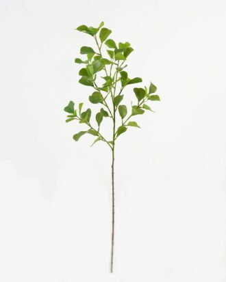 Artificial Plant 18*18*78cm Ficus leaf single stem GS-48323002CONTI-G2 Leaves&Sprays&Foliages YeahFlower is one of Chinese leading OEM manufacturers and exporters , supplying the silk flowers, wholesale artificial trees Artificial Plant 18*18*78cm Ficus leaf single stem GS-48323002CONTI-G2 Leaves&Sprays&Foliages YeahFlower is one of Chinese leading OEM manufacturers and exporters , supplying the silk flowers, wholesale artificial trees