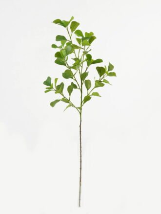 Artificial Plant 26*26*110cm Ficus leaf *4 single stem GS-48323003CONTI Leaves&Sprays&Foliages 3,000+ sqm showroom with thousands of artificial flowers, plants & trees ready for global sourcing.