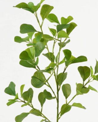 Artificial Plant 18*18*78cm Ficus leaf single stem GS-48323002CONTI-G2 Leaves&Sprays&Foliages YeahFlower is one of Chinese leading OEM manufacturers and exporters , supplying the silk flowers, wholesale artificial trees Artificial Plant 18*18*78cm Ficus leaf single stem GS-48323002CONTI-G2 Leaves&Sprays&Foliages YeahFlower is one of Chinese leading OEM manufacturers and exporters , supplying the silk flowers, wholesale artificial trees