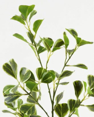 Artificial Plant 18*18*78cm Ficus leaf single stem GS-48323002CONTI Leaves&Sprays&Foliages YeahFlower is one of Chinese leading OEM manufacturers and exporters , supplying the silk flowers, wholesale artificial trees Artificial Plant 18*18*78cm Ficus leaf single stem GS-48323002CONTI Leaves&Sprays&Foliages YeahFlower is one of Chinese leading OEM manufacturers and exporters , supplying the silk flowers, wholesale artificial trees