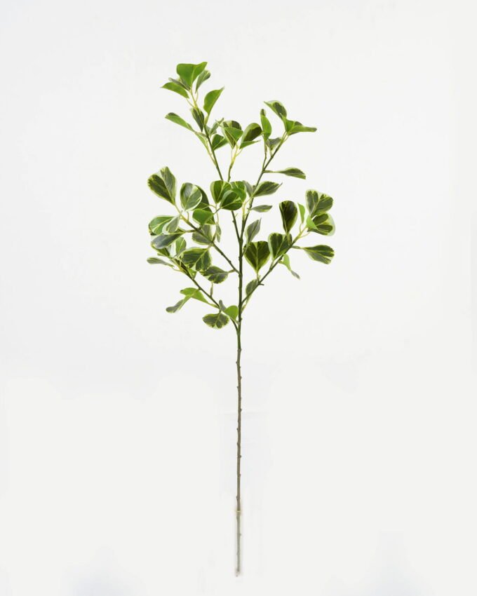 Artificial Plant 18*18*78cm Ficus leaf single stem GS-48323002CONTI Leaves&Sprays&Foliages YeahFlower is one of Chinese leading OEM manufacturers and exporters , supplying the silk flowers, wholesale artificial trees