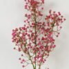 Artificial Plant  GS-05523035CONTI Leaves&Sprays&Foliages YeahFlower is one of Chinese leading OEM manufacturers and exporters , supplying the silk flowers, wholesale artificial trees