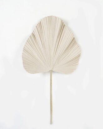 Artificial Plant GS-10623017CONTI Leaves&Sprays&Foliages YeahFlower is one of Chinese leading OEM manufacturers and exporters , supplying the silk flowers, wholesale artificial trees Artificial Plant GS-10623017CONTI Leaves&Sprays&Foliages YeahFlower is one of Chinese leading OEM manufacturers and exporters , supplying the silk flowers, wholesale artificial trees