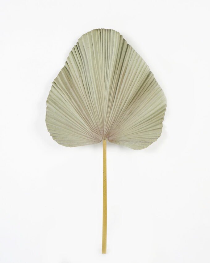 Artificial Plant  GS-10623017CONTI Leaves&Sprays&Foliages YeahFlower is one of Chinese leading OEM manufacturers and exporters , supplying the silk flowers, wholesale artificial trees