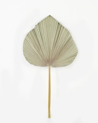 Artificial Plant GS-10623018CONTI Leaves&Sprays&Foliages YeahFlower is one of Chinese leading OEM manufacturers and exporters , supplying the silk flowers, wholesale artificial trees Artificial Plant GS-10623018CONTI Leaves&Sprays&Foliages YeahFlower is one of Chinese leading OEM manufacturers and exporters , supplying the silk flowers, wholesale artificial trees