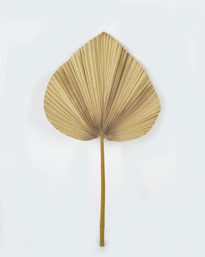 Artificial Plant  GS-10623018CONTI Leaves&Sprays&Foliages YeahFlower is one of Chinese leading OEM manufacturers and exporters , supplying the silk flowers, wholesale artificial trees