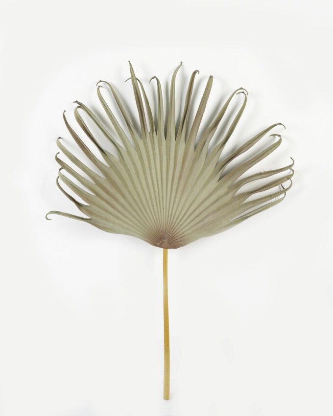 Artificial Plant  GS-10623019CONTI Leaves&Sprays&Foliages YeahFlower is one of Chinese leading OEM manufacturers and exporters , supplying the silk flowers, wholesale artificial trees