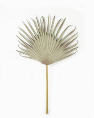 Artificial Plant GS-10623020CONTI Leaves&Sprays&Foliages YeahFlower is one of Chinese leading OEM manufacturers and exporters , supplying the silk flowers, wholesale artificial trees Artificial Plant GS-10623020CONTI Leaves&Sprays&Foliages YeahFlower is one of Chinese leading OEM manufacturers and exporters , supplying the silk flowers, wholesale artificial trees