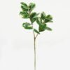 Artificial Plant GS-15423039CONTI-G2_1 Artificial Plant GS-15423039CONTI-G2 Leaves&Sprays&Foliages YeahFlower is one of Chinese leading OEM manufacturers and exporters , supplying the silk flowers, wholesale artificial trees