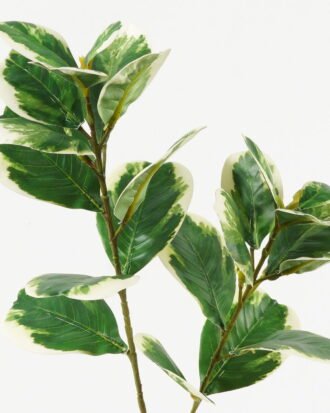 Artificial Plant GS-15423039CONTI-G2 Leaves&Sprays&Foliages YeahFlower is one of Chinese leading OEM manufacturers and exporters , supplying the silk flowers, wholesale artificial trees Artificial Plant GS-15423039CONTI-G2 Leaves&Sprays&Foliages YeahFlower is one of Chinese leading OEM manufacturers and exporters , supplying the silk flowers, wholesale artificial trees