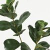 Artificial Plant GS-15423039CONTI-G3_4 Artificial Plant GS-15423039CONTI-G3 Leaves&Sprays&Foliages YeahFlower is one of Chinese leading OEM manufacturers and exporters , supplying the silk flowers, wholesale artificial trees