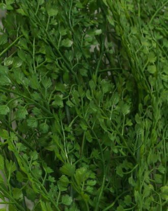 Artificial Plant GS-41023004CONTI Leaves&Sprays&Foliages YeahFlower is one of Chinese leading OEM manufacturers and exporters , supplying the silk flowers, wholesale artificial trees Artificial Plant GS-41023004CONTI Leaves&Sprays&Foliages YeahFlower is one of Chinese leading OEM manufacturers and exporters , supplying the silk flowers, wholesale artificial trees