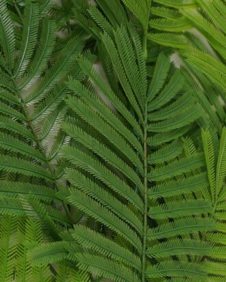 Artificial Plant GS-41023006CONTI Leaves&Sprays&Foliages YeahFlower is one of Chinese leading OEM manufacturers and exporters , supplying the silk flowers, wholesale artificial trees Artificial Plant GS-41023006CONTI Leaves&Sprays&Foliages YeahFlower is one of Chinese leading OEM manufacturers and exporters , supplying the silk flowers, wholesale artificial trees