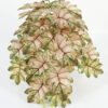 Artificial Plant  GS-70623002CONTI-P1 Leaves&Sprays&Foliages YeahFlower is one of Chinese leading OEM manufacturers and exporters , supplying the silk flowers, wholesale artificial trees