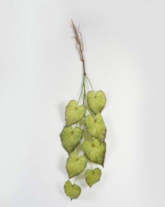 Artificial Plant GS-70623006CONTI-G4 Leaves&Sprays&Foliages YeahFlower is one of Chinese leading OEM manufacturers and exporters , supplying the silk flowers, wholesale artificial trees Artificial Plant GS-70623006CONTI-G4 Leaves&Sprays&Foliages YeahFlower is one of Chinese leading OEM manufacturers and exporters , supplying the silk flowers, wholesale artificial trees